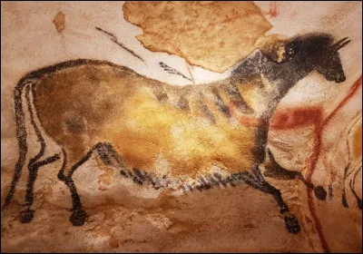 Cet animal fut dessiné par un (ou une ?) de nos ancêtres dans la grotte de Lascaux, le reconnais-tu ?