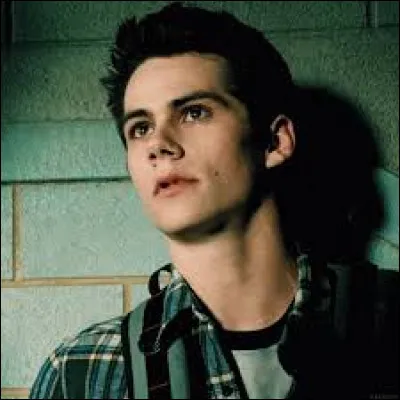 Quel est le nom du meilleur ami de Stiles ?