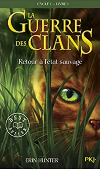 Ton chat serait plutôt :