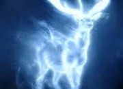 Quiz Quels sont les patronus de ces personnages de Harry Potter ?