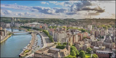 Grande ville belge de Wallonie, traversée par la Meuse :