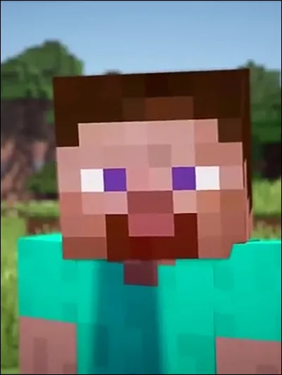 Qui est ce héros de Minecraft ?