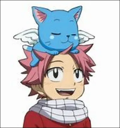 Comment se nomme le père adoptif de Natsu ?