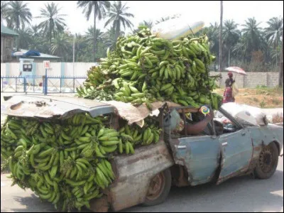 Un aliment, autre que ces bananes très visibles, s'est glissé dans l'image, pouvez-vous m'aider à le chercher ?