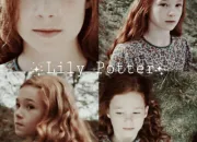 Quiz Lily Evans