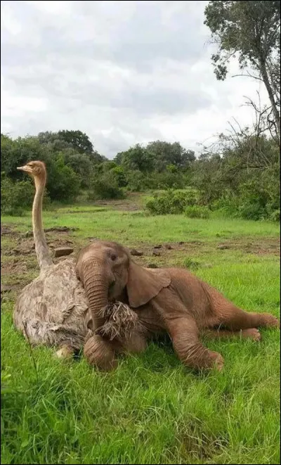 Le langage du ... est celui qui convient le mieux à l'amour !