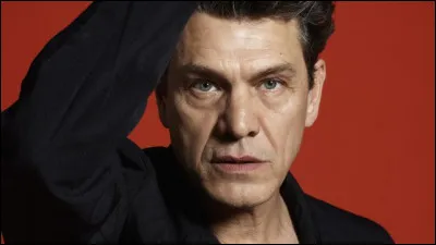 "Une star à sa façon" est une chanson interprétée par Marc Lavoine.