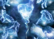 Quiz Les patronus