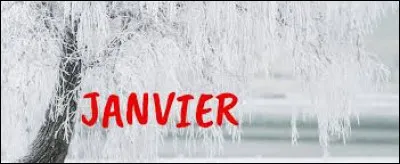 Comment dit-on "janvier" ?