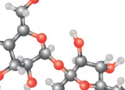 Quiz Une molcule et ses atomes