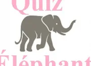 Quiz Un lphant, a trompe...ou pas !