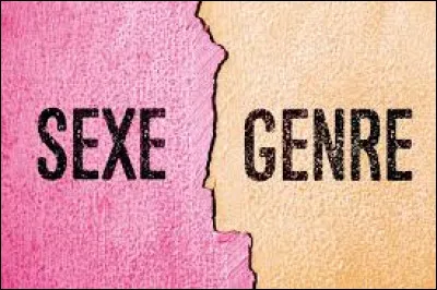 Pour faire la distinction entre genre et sexe; nous pouvons retenir que le genre :