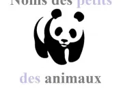 Quiz Cr ''nom'' d'un petit d'animal !