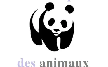 Quiz Animaux