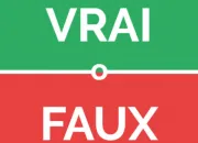 Quiz Vrai ou faux (6)