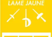 Quiz QCM Escrime / Niveau 1 : Lame Jaune