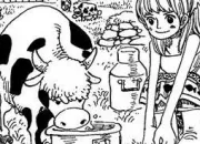 Quiz One Piece - Qui est-ce ?