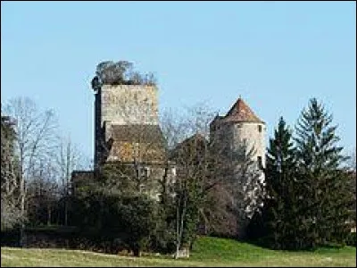 Cette semaine, je vous propose de commencer notre balade dans le Périgord pourpre, à Baneuil. Nous sommes dans le département ...