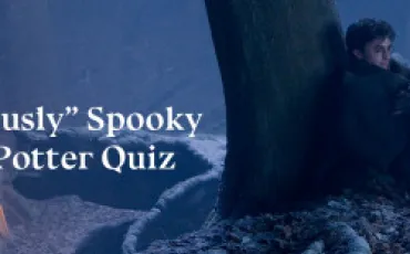 Quiz Harry potter