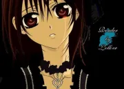 Quiz Vampire Knight