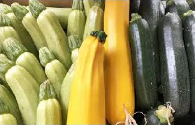 La courgette est-elle une courge immature ?