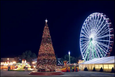 À Chypre, que ne mange-t-on plus durant les 40 jours précédant Noël, afin de se purifier avant la venue du Christ ?