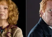 Quiz Quiz sur la famille Weasley (Harry Potter)