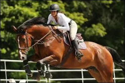 En équitation, qu'est-ce qu'une bombe ?