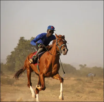 Veux-tu être jockey ?