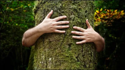 Qui chantait ''Auprès de mon arbre'' ?