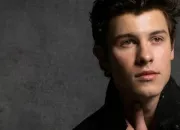 Quiz Shawn Mendes