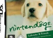 Quiz Nintendog's ds