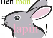 Quiz Ben, mon lapin !