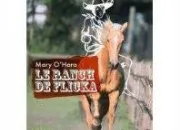 Quiz Le ranch de Flicka