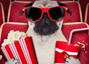 Quiz Les affiches de films qui ont du chien