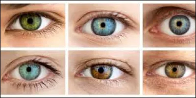 Comment sont les yeux des elfes ? (1 réponse)