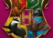 Test Harry Potter : dans quelle maison es-tu ?