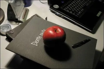 Comment Light trouve-t-il le Death Note ?