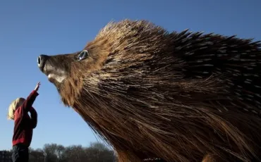 Quiz Animaux