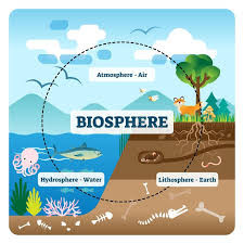 Quiz Nature, cologie