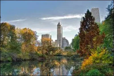 Quel homme a écrit "Central Park" ?