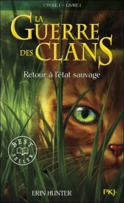 Quel est ton clan préféré ?