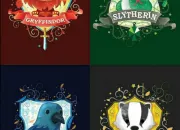 Test Harry Potter : maisons