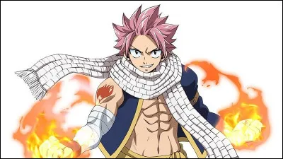 Fairy Tail : 
Quel est l'âge de Natsu Dragnel ?