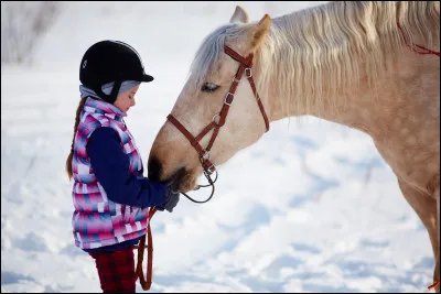 Quelqu'un te dit que l'équitation est facile, n'importe qui peut le faire, que ce n'est pas un sport, que les chevaux font tout le travail et que le cavalier et juste assis là. Que réponds-tu ?