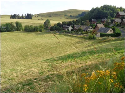 Par quel terme affectueux désigne-t-on un enfant en région lyonnaise ?