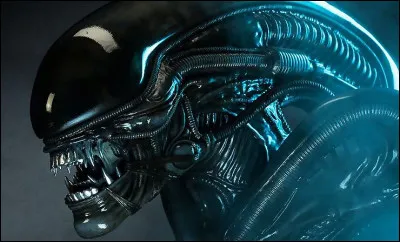 Quel est le véritable nom de l'Alien ?