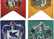 Test  quelle maison ''Harry Potter'' appartiens-tu ?