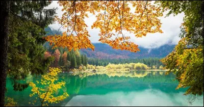 À quel point aimes-tu la nature ?