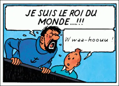 C'est vrai qu'Haddock et l'eau - sauf sous forme de glaçons peut-être - ça a toujours fait deux !